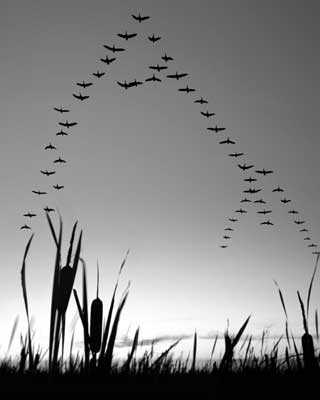iStock-320x400